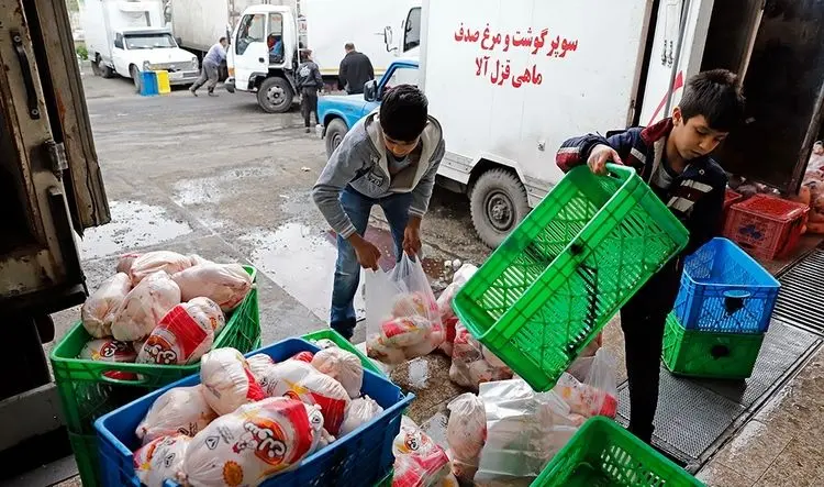 جدیدترین قیمت گوشت، مرغ، میوه وتره بار در میادین