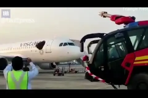 حمله عجیب هزاران زنبور به هواپیمای هندی