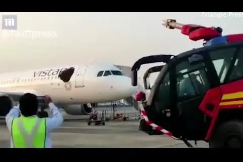 حمله عجیب هزاران زنبور به هواپیمای هندی