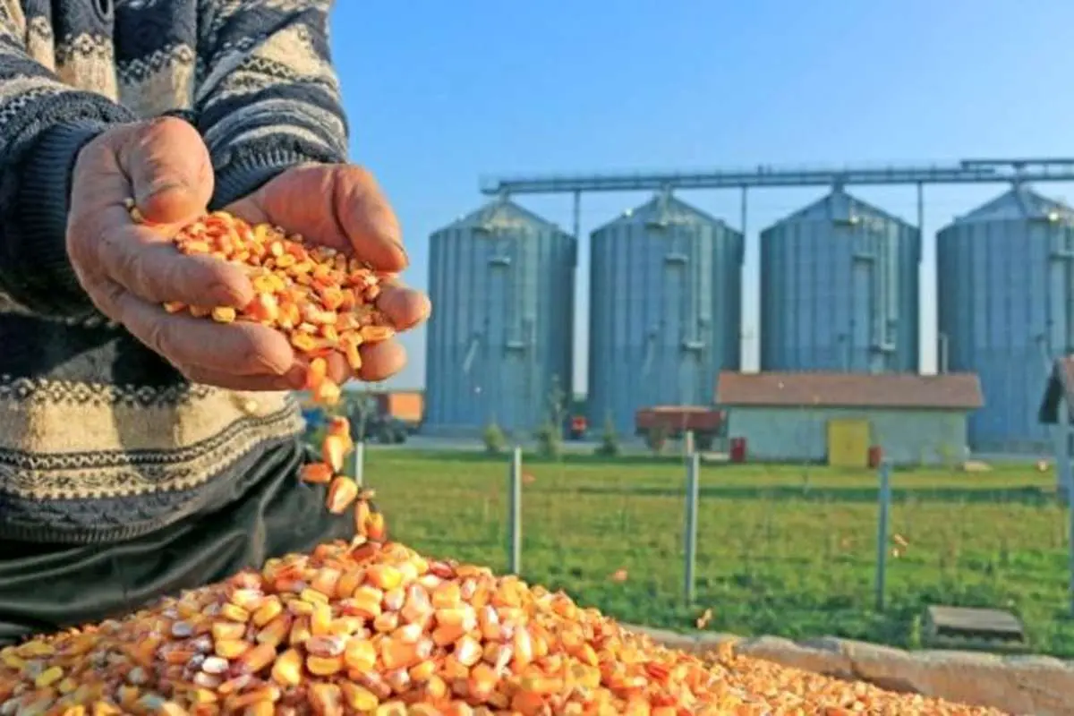 واردات نهاده‌های دامی؛ تجارتی انحصاری و پر سود در دست عده‌ای خاص