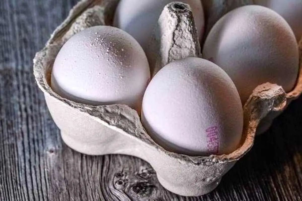 تخم مرغ شانهای ۳۶ هزار تومان!
