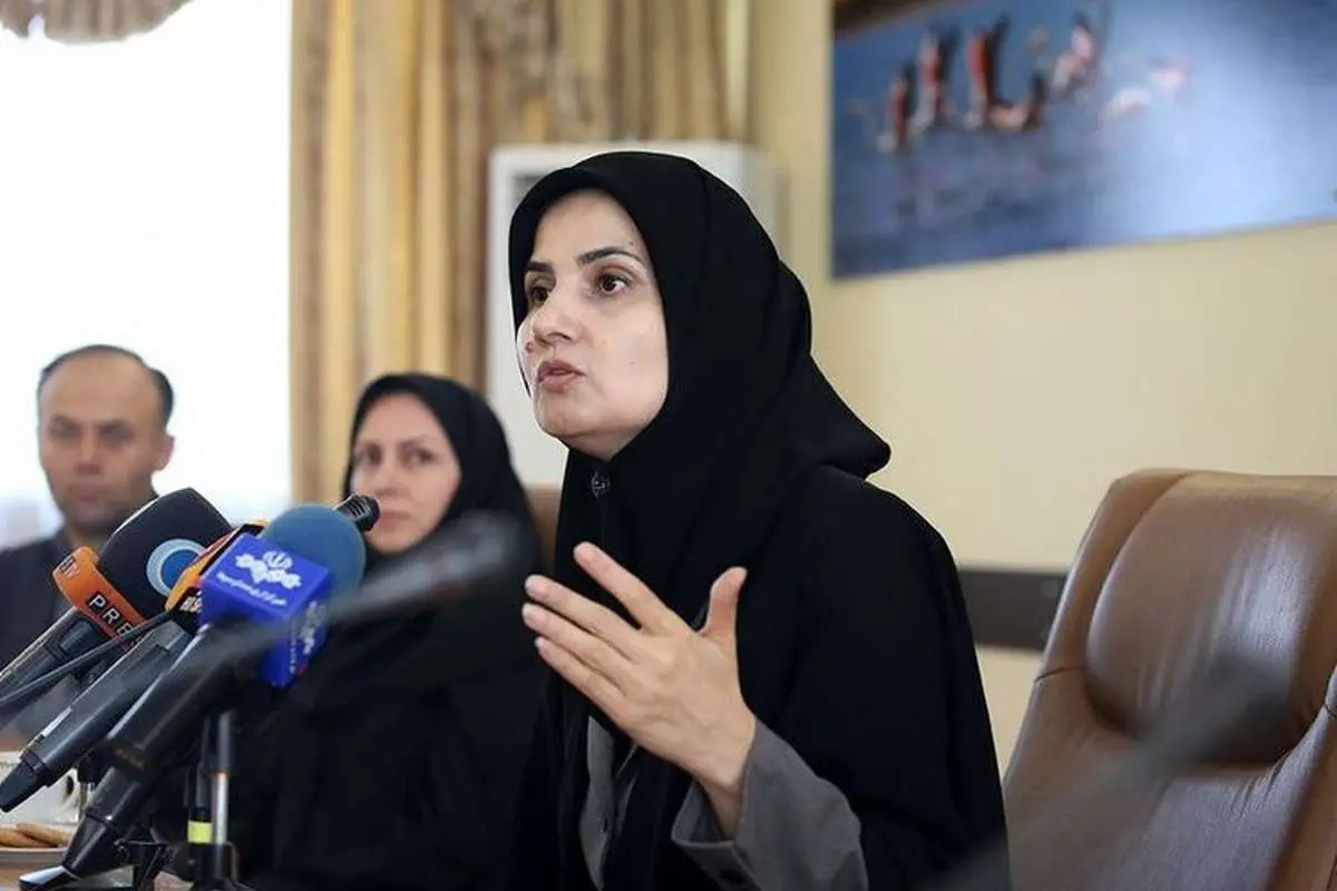 توضیحات جنیدی درباره پرداخت خسارات هواپیمای اوکراینی