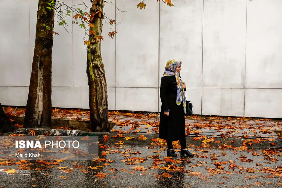 (تصاویر) برگریزان پاییز در خیابانهای تهران