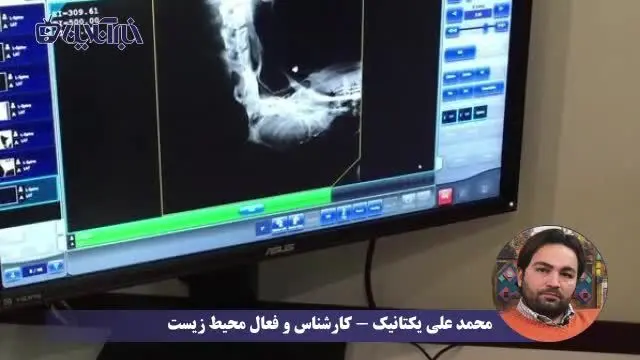 روایت عجیب نجات خرس قهوه‌ای ارتفاعات برفگیر کجور