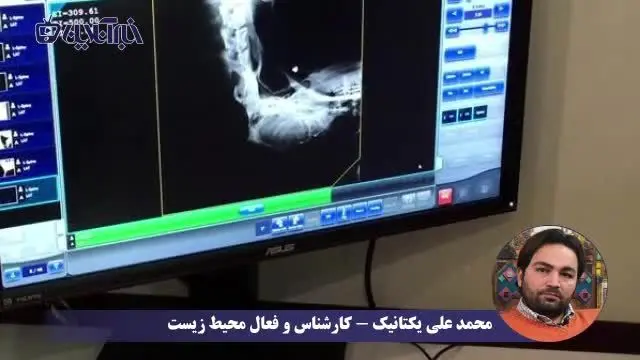 روایت عجیب نجات خرس قهوه‌ای ارتفاعات برفگیر کجور