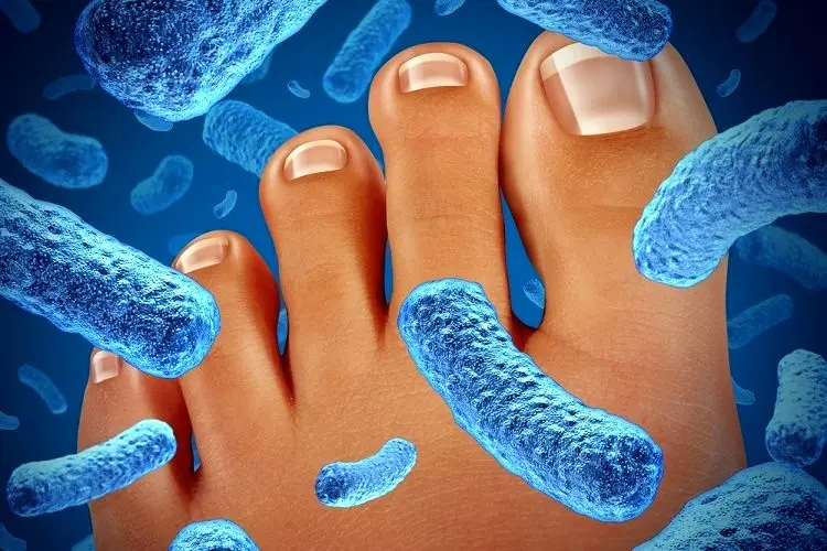 هرآنچه باید درباره قارچ‌های پوستی بدانید