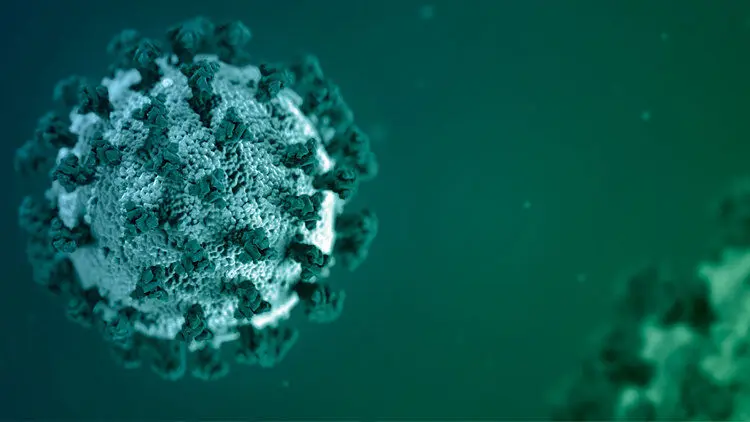 احتمال پایداری ایمنی نجات‌یافتگان کووید-۱۹ تا حداقل هشت ماه
