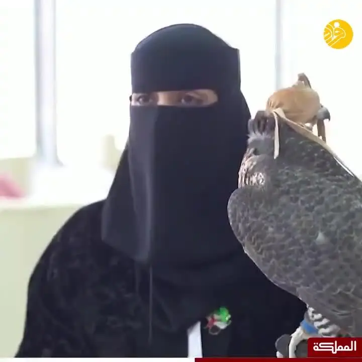 (ویدئو) اولین زن عربستانی در مسابقات شکار با شاهین
