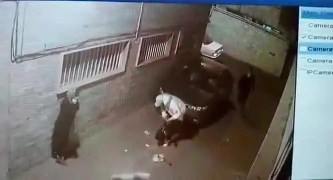 (ویدئو) حمله سه زورگیر با قمه به دو زن