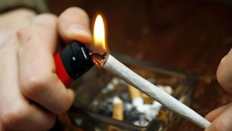 اخبار توهمی درباره «گل»