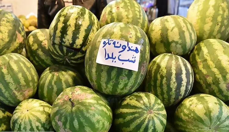 یلدا ۹۹ با آجیل و میوه ۲۰۰ هزار تومانی