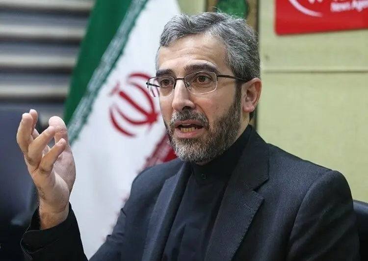 تعقیب ۴۸ متهم در ارتباط با پرونده سردار سلیمانی