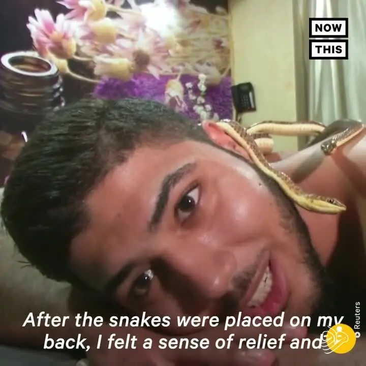(ویدئو) ماساژ با مار!