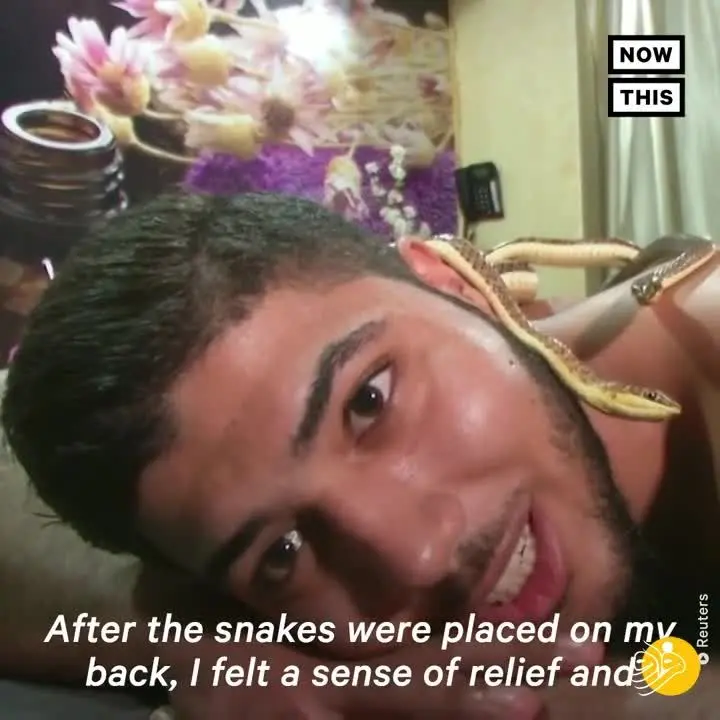 (ویدئو) ماساژ با مار!