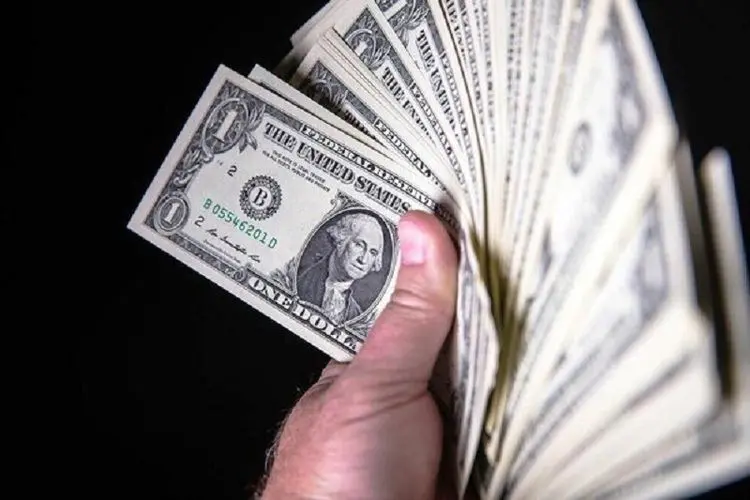 قیمت دلار در صرافی ملی شنبه ۱۳ دی