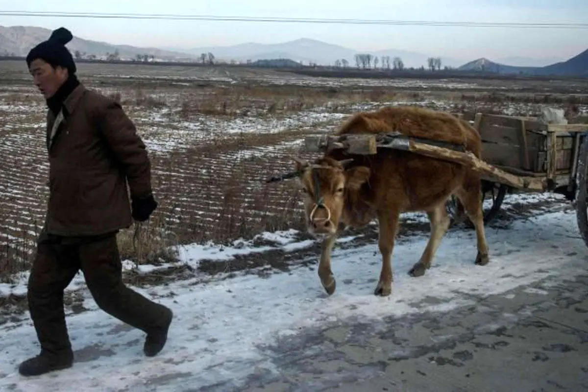 (تصاویر) زندگی روزمره ساکنان یک روستای در کره شمالی