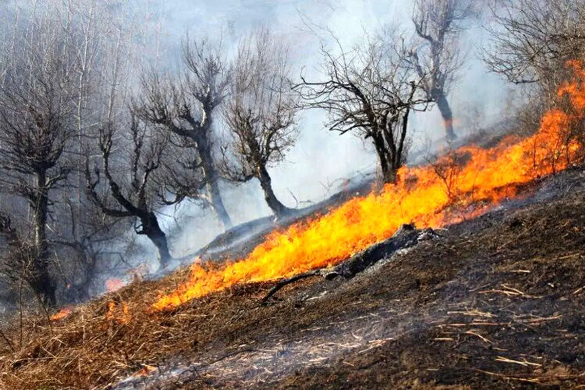 (ویدئو) آتش سوزی در جنگلهای گیلان