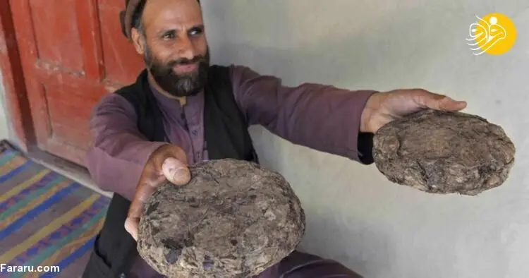 (ویدئو) روستایی که بزرگترین مرکز تولید مواد مخدر جهان است!