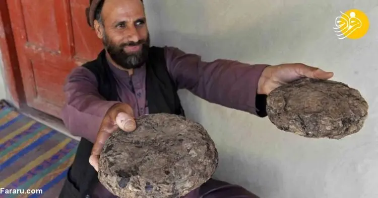 (ویدئو) روستایی که بزرگترین مرکز تولید مواد مخدر جهان است!