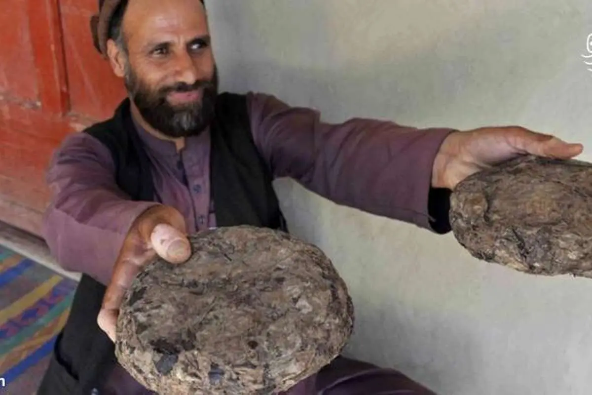(ویدئو) روستایی که بزرگترین مرکز تولید مواد مخدر جهان است!