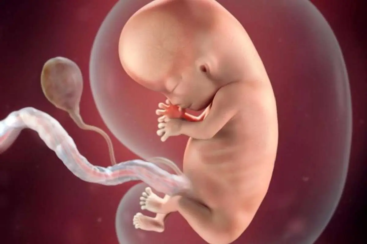 غربالگری پیش از این هم اجباری نبود!