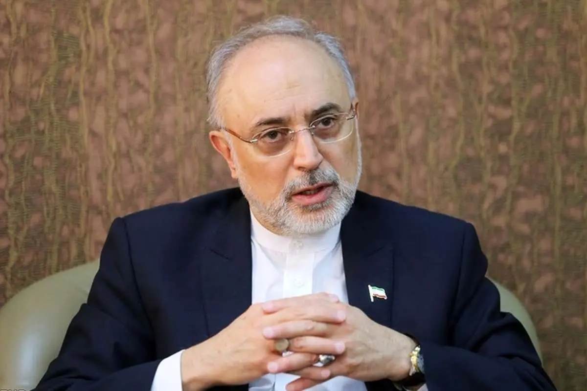 صالحی: محوریترین چالش ما با غرب، شیوهی حکمرانی ماست