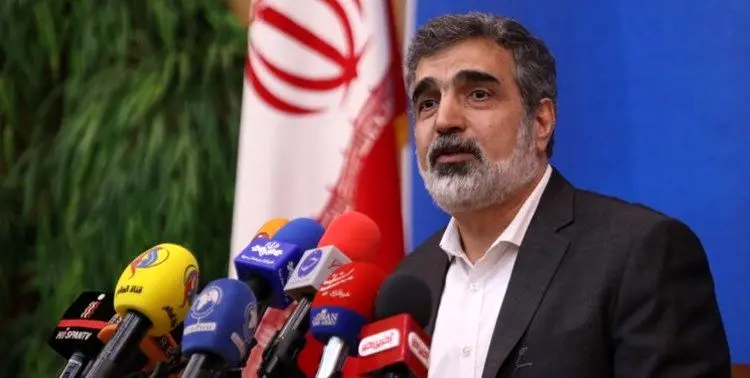 کمالوندی:  قادر به غنی‌سازی ۹۰ درصد نیز هستیم