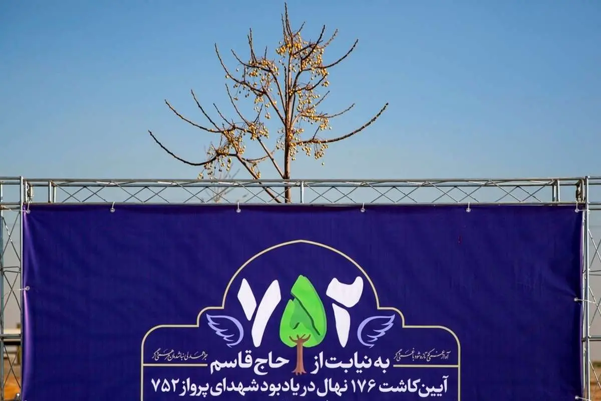 (تصاویر) کاشت ۱۷۶ نهال به یاد شهدای پرواز ۷۵۲