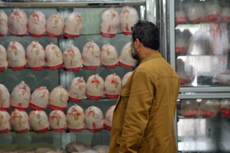 عرضه مرغ در میادین تره‌بار تهران با قیمت ۱۸ هزار و ۹۰۰ تومان