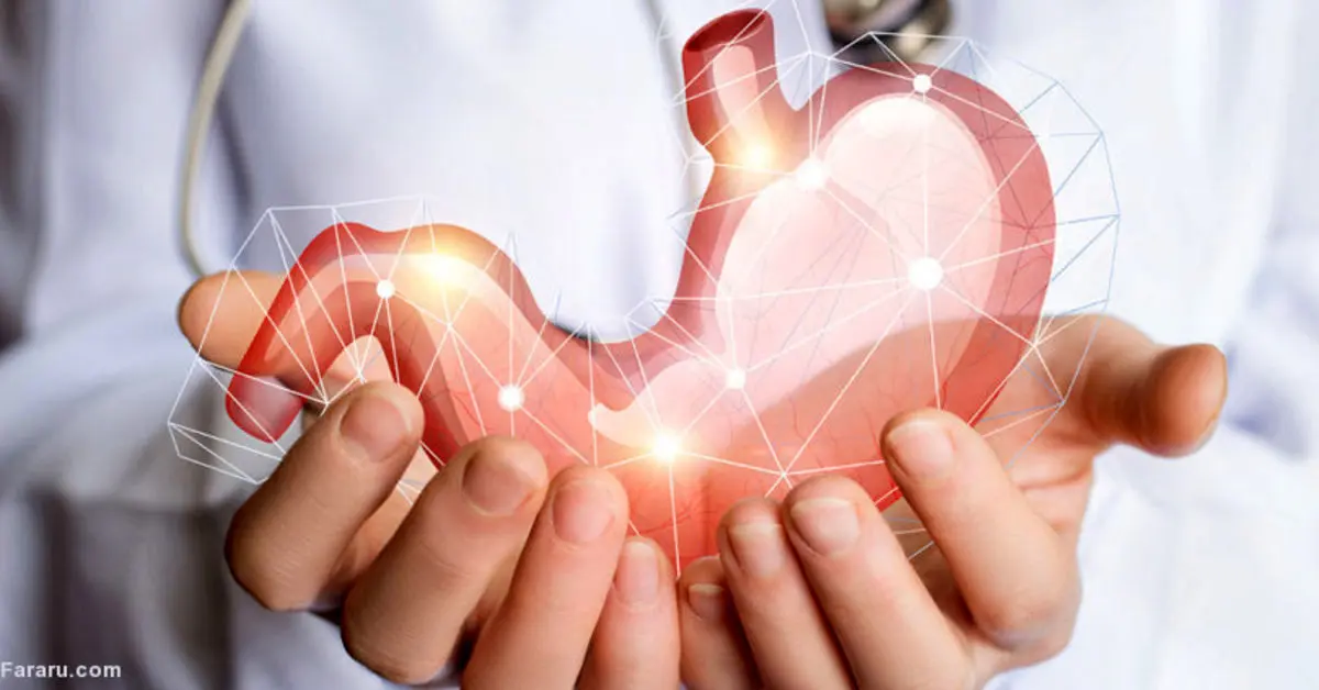 هر آنچه که باید درباره «هلیکوباکتر پیلوری» بدانید!