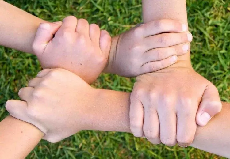 وکیل گزیدگی، عامل بی‌اعتمادی جامعه به وکلا
