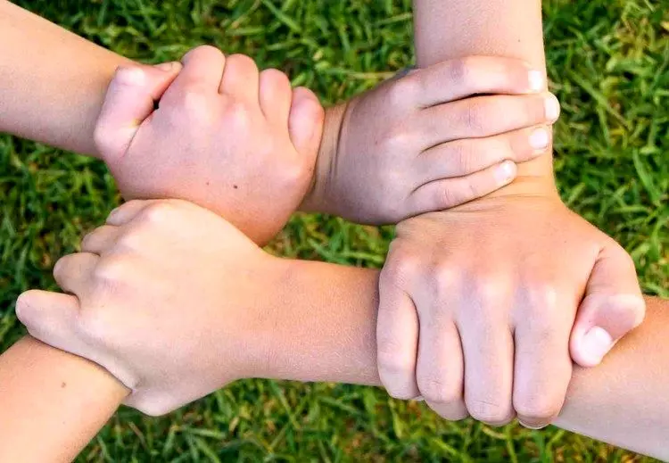 وکیل گزیدگی، عامل بی‌اعتمادی جامعه به وکلا