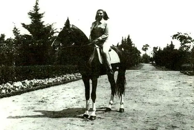 سرنوشت اسبی که به «فرح» سواری نداد