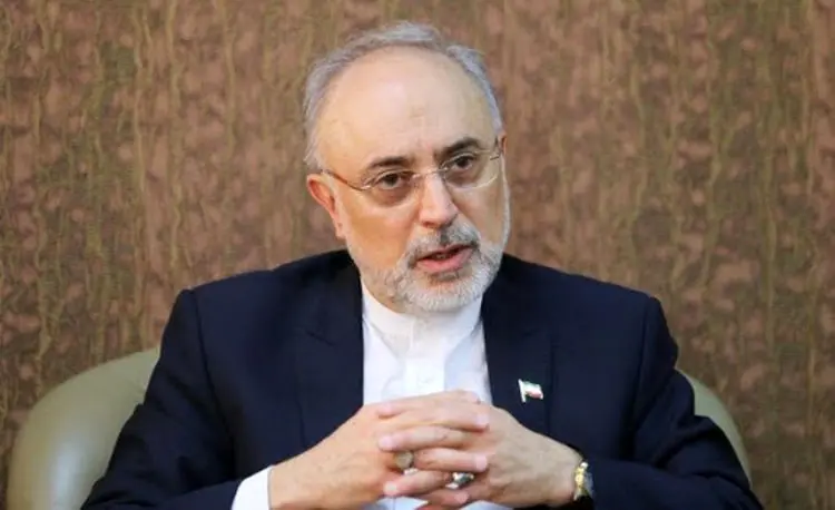 صالحی: برای اخراج ناظران آژانس پیشگویی نمی‌کنیم