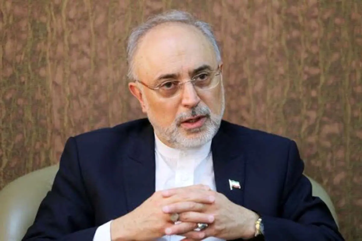 صالحی: برای اخراج ناظران آژانس پیشگویی نمیکنیم