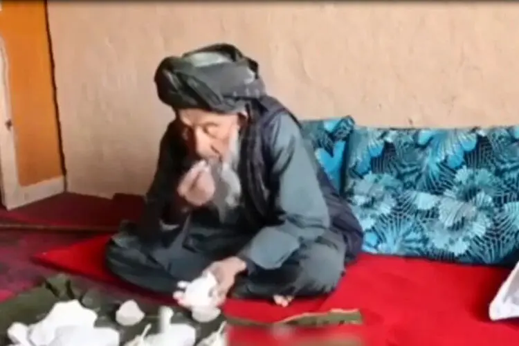 (ویدئو) ماجرای عجیب پیرمردی که سنگ می‌خورد