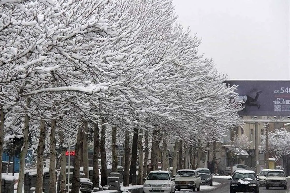 پیامهای زمستان بیبرف