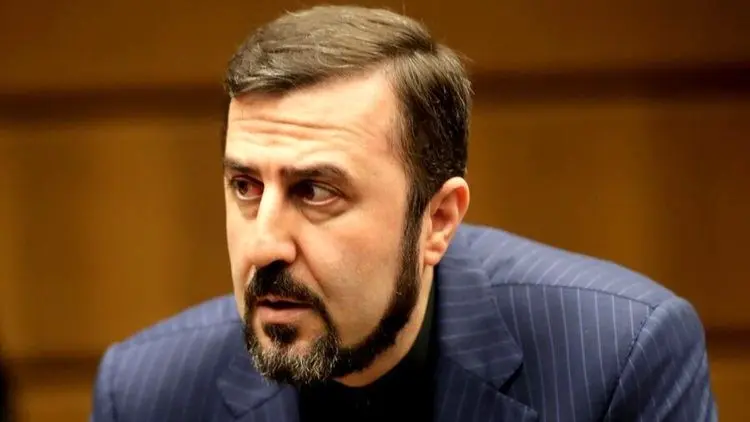 غریب آبادی: تمام دسترسی‌های تکمیلی آژانس امشب متوقف می‌شود