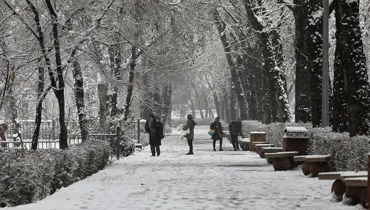 دمای هوا تا ۱۵ درجه سرد می‌شود