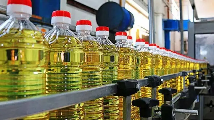 ثبت‌نام روغن برای تحویل در سال ۱۴۰۰!