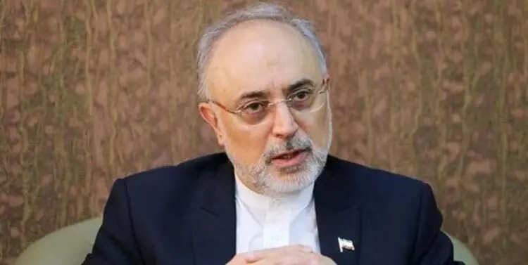 هشدار صالحی درباره قطعنامه ضد ایرانی در شورای حکام