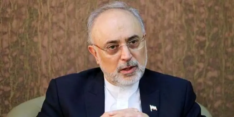 هشدار صالحی درباره قطعنامه ضد ایرانی در شورای حکام