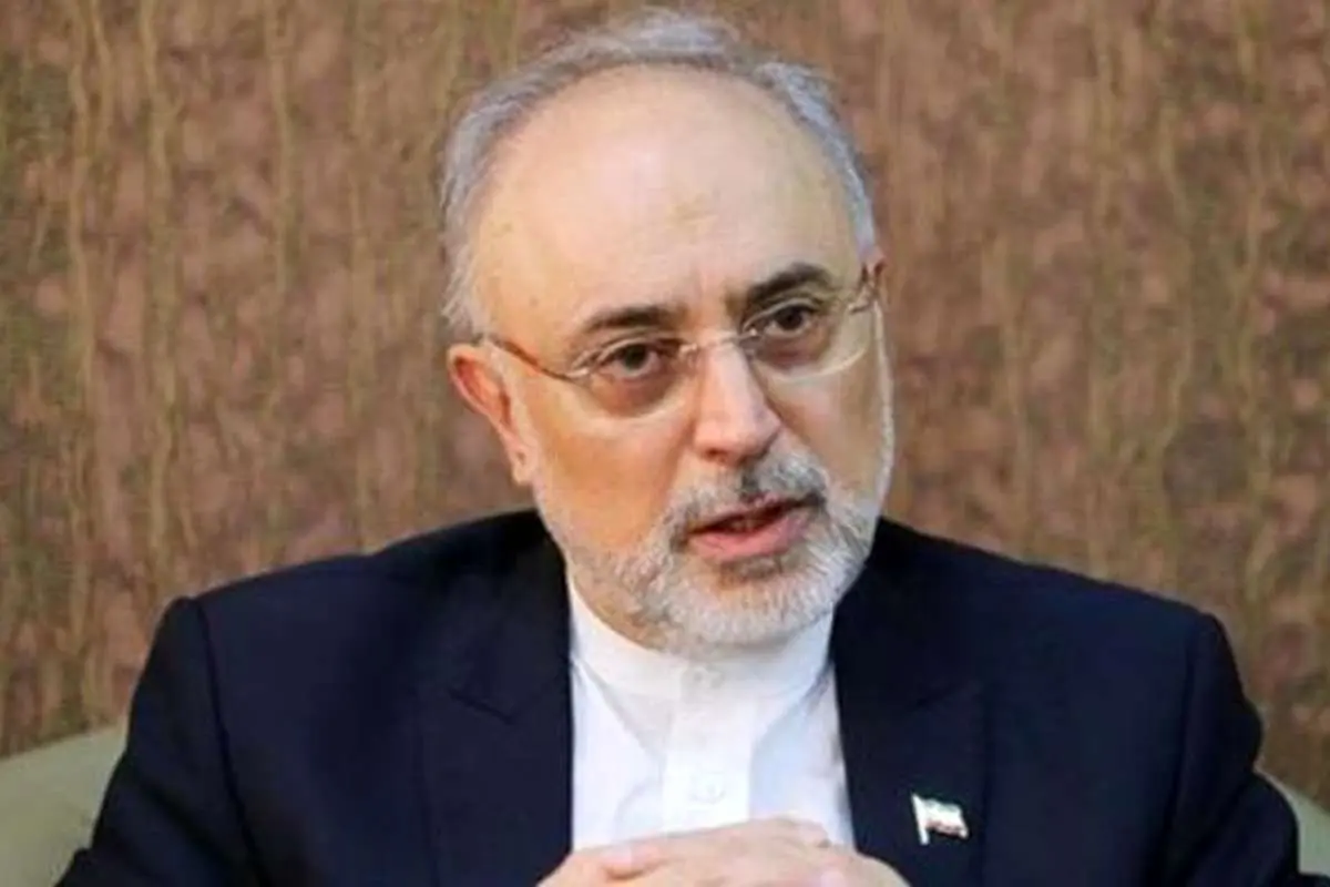 هشدار صالحی درباره قطعنامه ضد ایرانی در شورای حکام