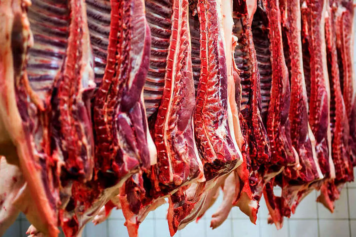 فروش قسطی گوشت تکذیب شد