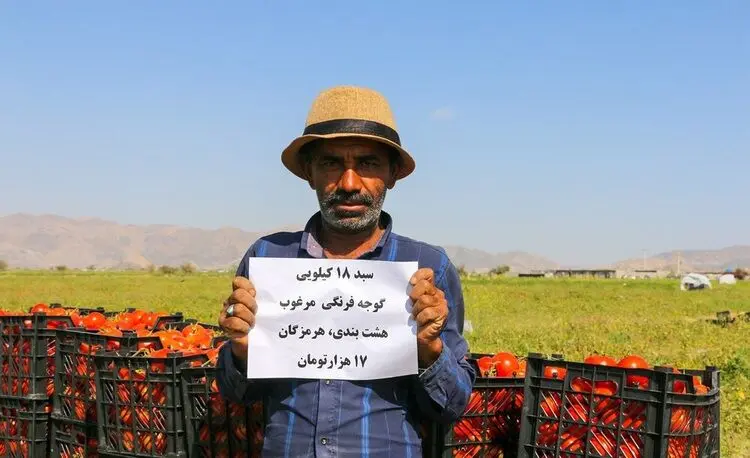 (تصاویر) گوجه کیلویی ۱۰۰۰ تومان!