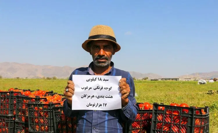 (تصاویر) گوجه کیلویی ۱۰۰۰ تومان!