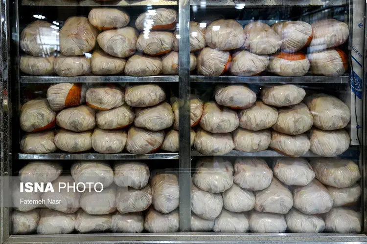 (تصاویر) صف‌های ناتمام مرغ با نرخ دولتی