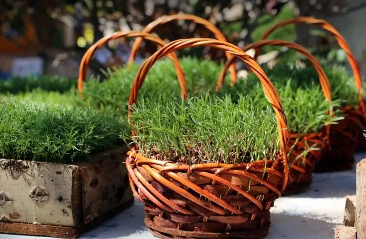 گل و سبزه شب عید چند؟