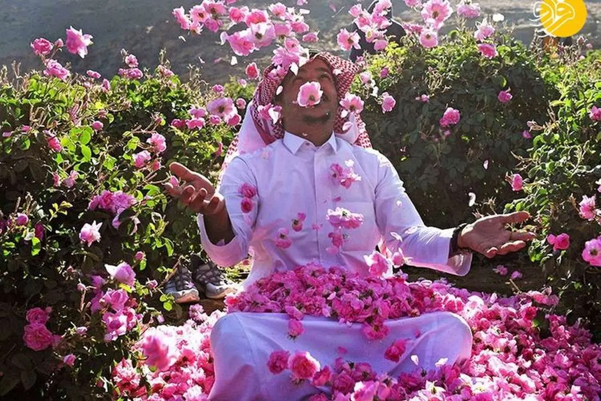 (تصاویر) شهر گل عربستان کجاست؟