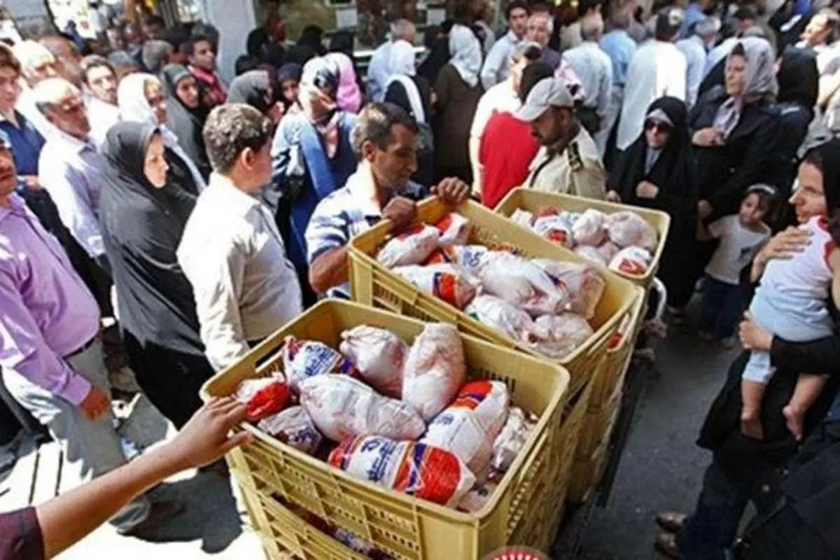 ورود دادستانی به بحران مرغ